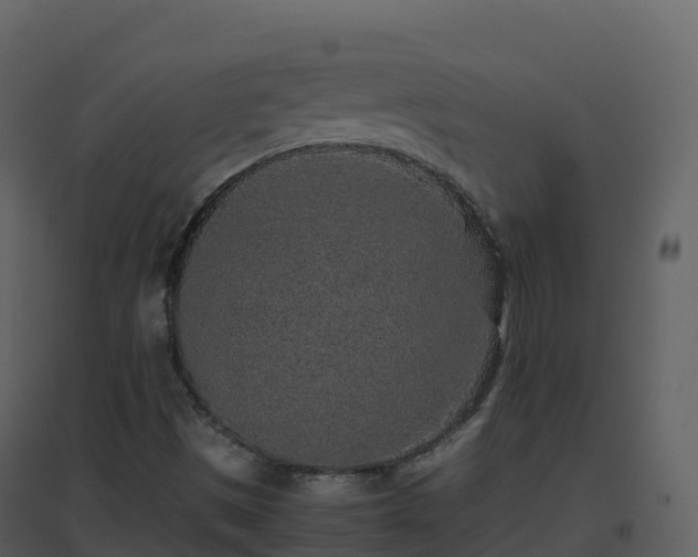 X0000096651497200802121121