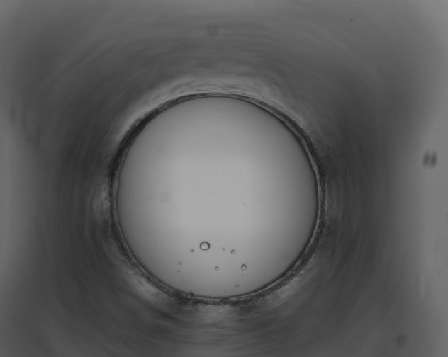 X0000096651498200802121121