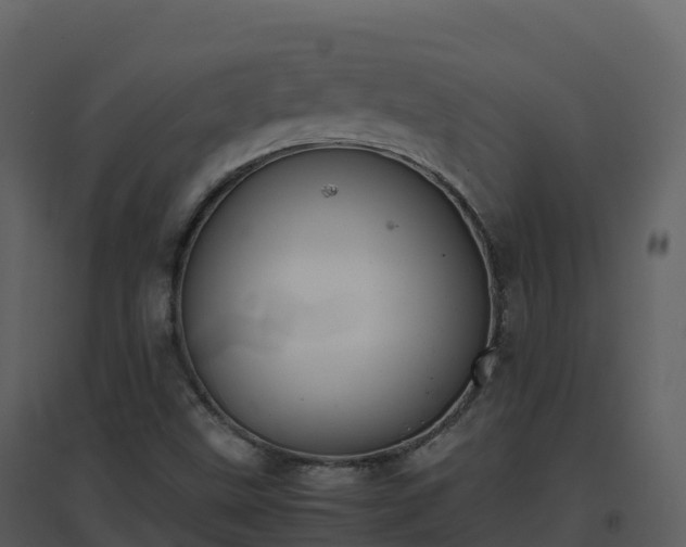 X0000096651499200802121121