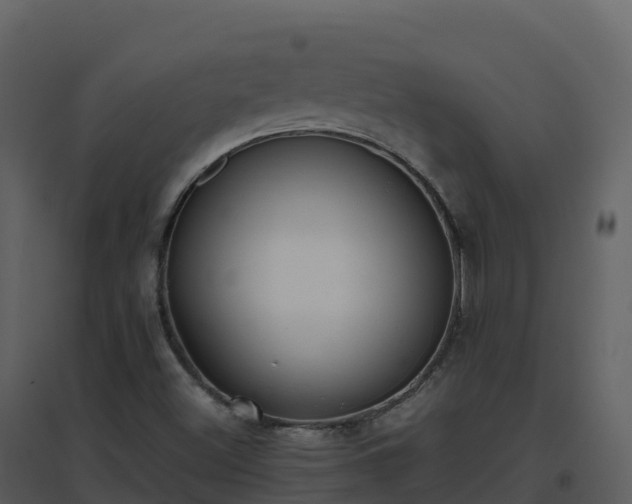X0000096651500200802121121
