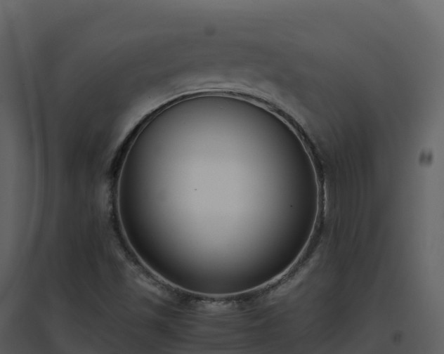 X0000096651501200802121121