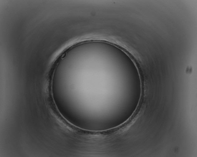 X0000096651502200802121121