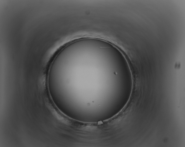 X0000096651503200802121121