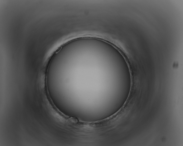 X0000096651504200802121121