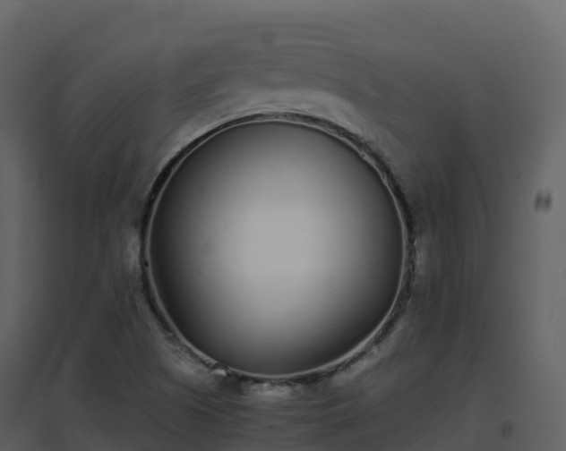X0000096651505200802121121
