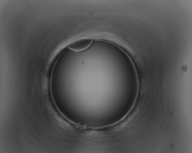 X0000096651506200802121121