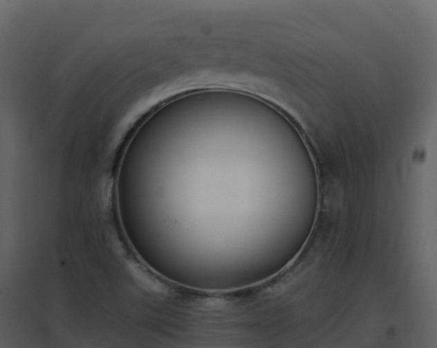 X0000096651507200802121121