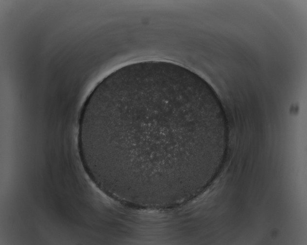 X0000096651508200802121121