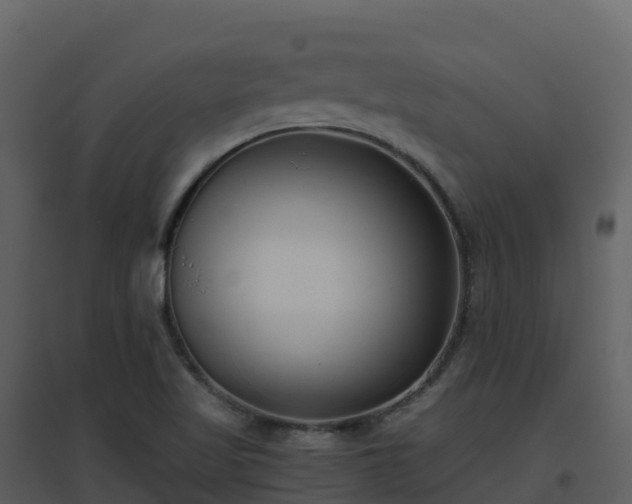 X0000096651509200802121121
