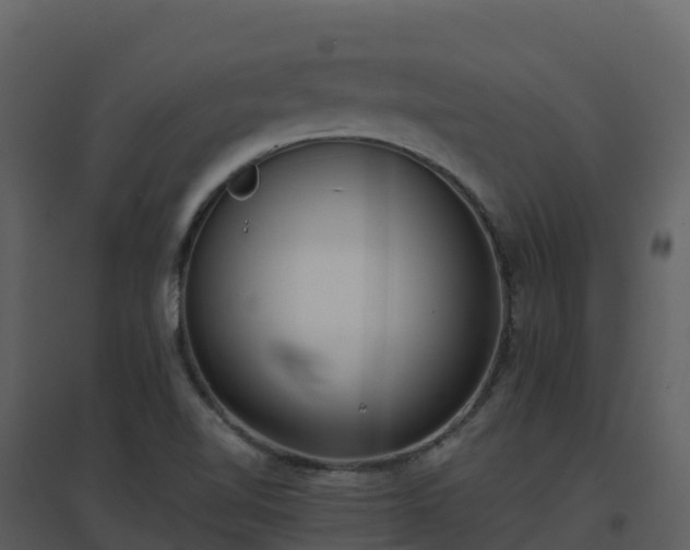 X0000096651510200802121121
