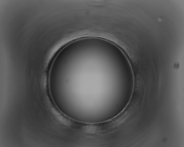 X0000096651511200802121121