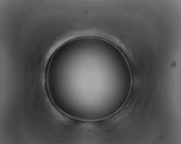 X0000096651512200802121121