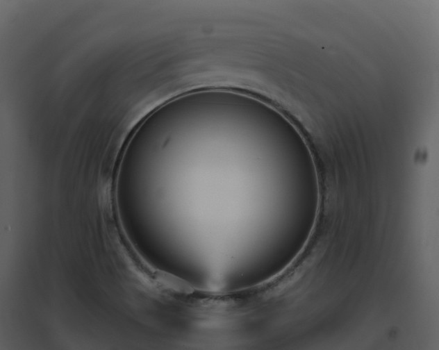 X0000096651513200802121121