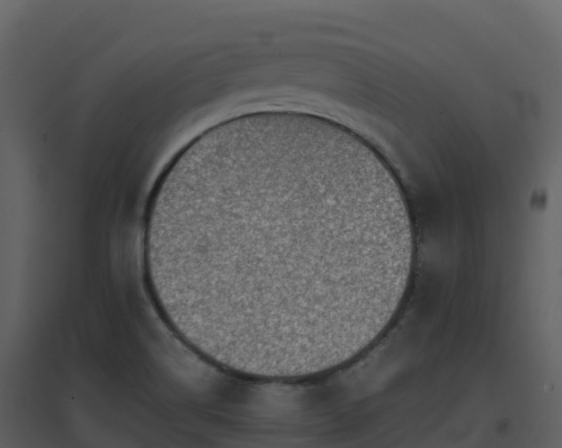 X0000096651514200802121121