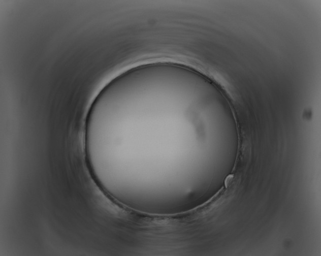 X0000096651516200802121121