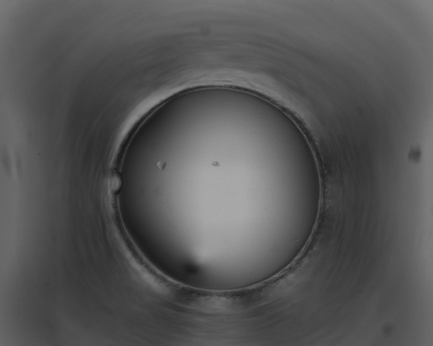 X0000096651517200802121121