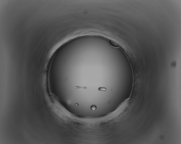 X0000096651518200802121121