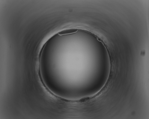 X0000096651520200802121121