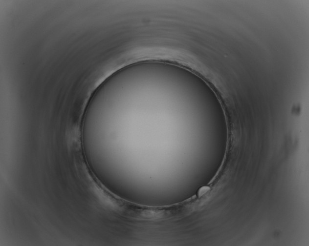 X0000096651521200802121121