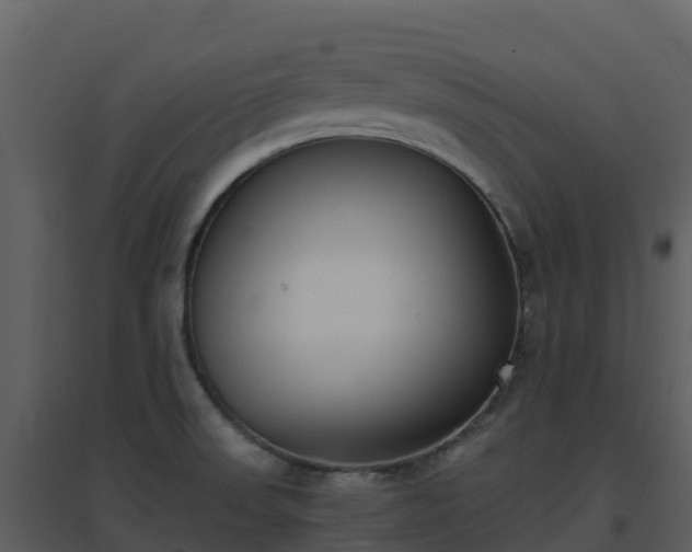 X0000096651523200802121121