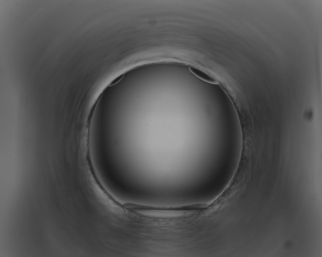 X0000096651524200802121121