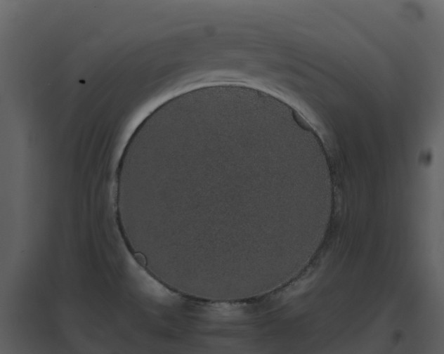 X0000096651527200802121121