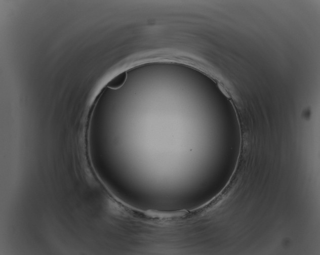 X0000096651530200802121121