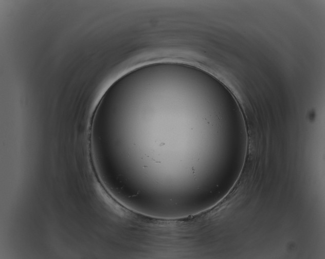 X0000096651532200802121121