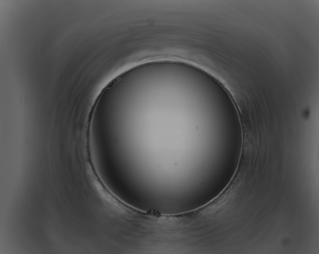 X0000096651534200802121121