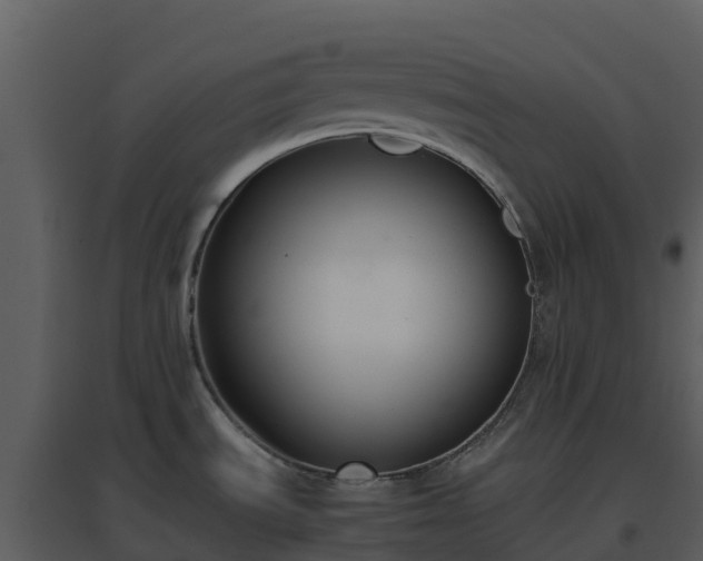 X0000096651535200802121121