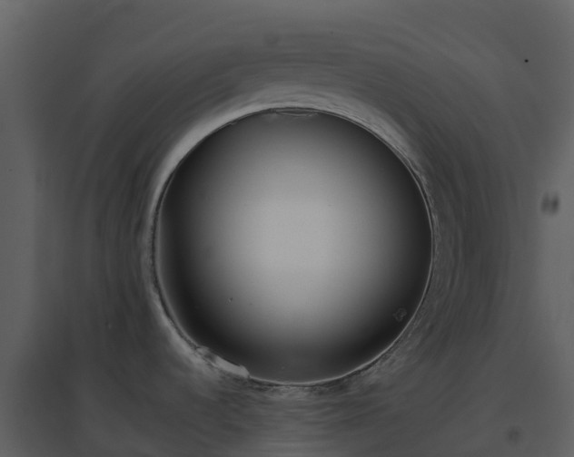 X0000096651536200802121121