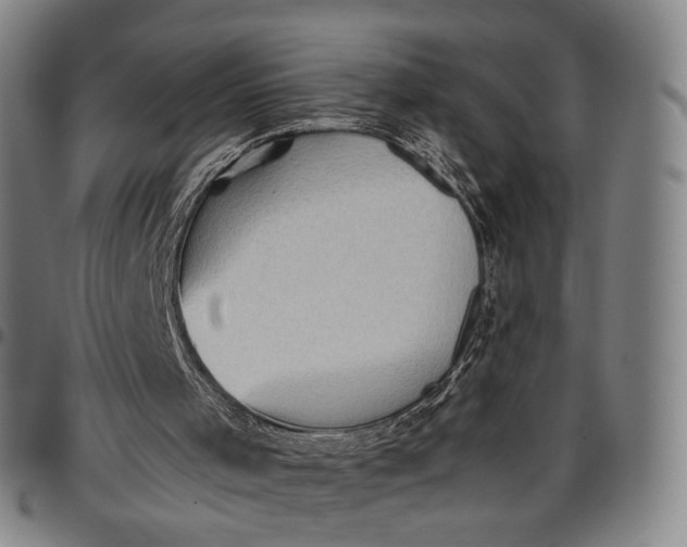 X0000096650001200802191254