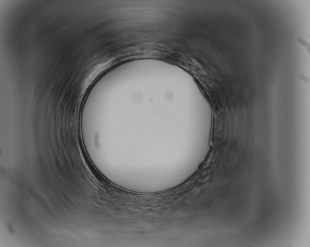 X0000096650003200802191254