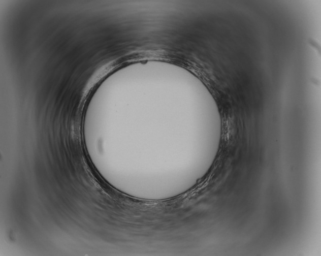 X0000096650004200802191253