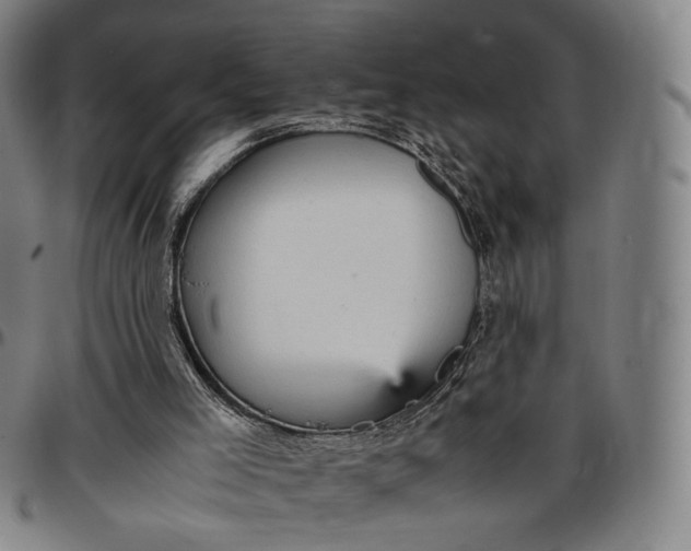 X0000096650005200802191253