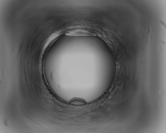 X0000096650006200802191253