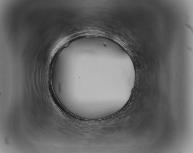 X0000096650007200802191253