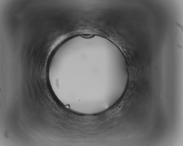 X0000096650008200802191253