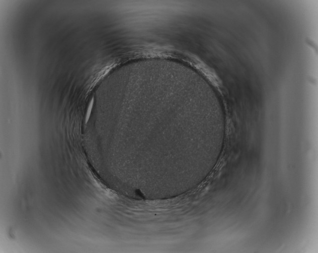 X0000096650009200802191253