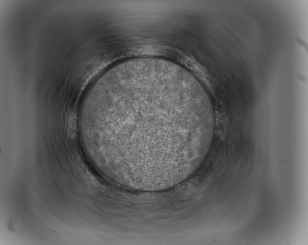 X0000096650012200802191253