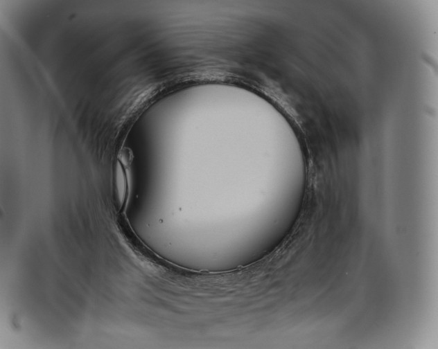 X0000096650013200802191253