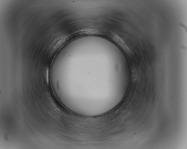 X0000096650014200802191253