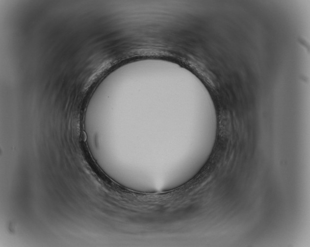 X0000096650015200802191253