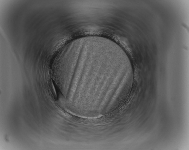 X0000096650017200802191253