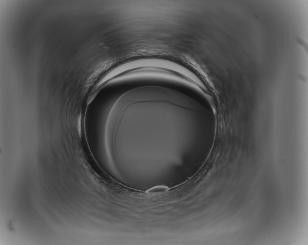 X0000096650019200802191253