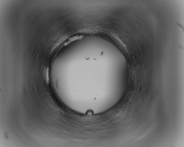 X0000096650020200802191253