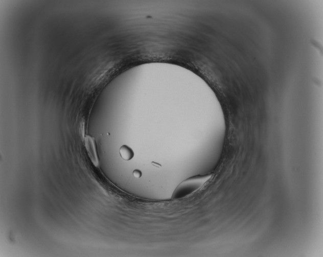 X0000096650021200802191253