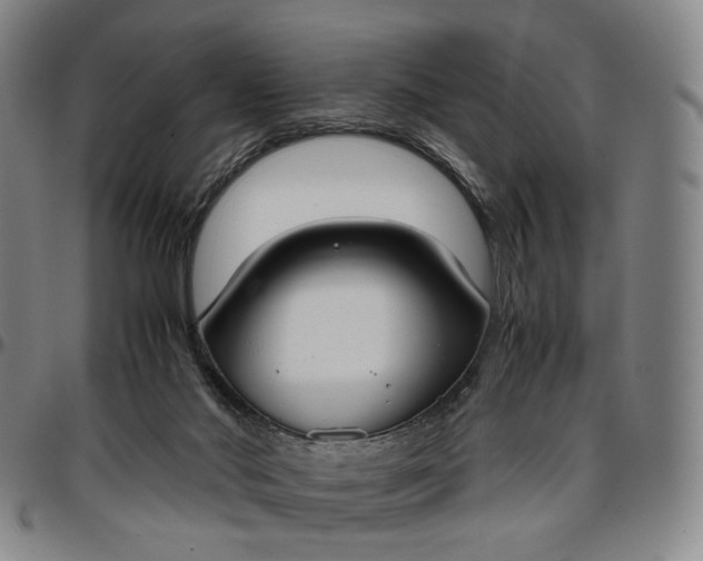 X0000096650022200802191253