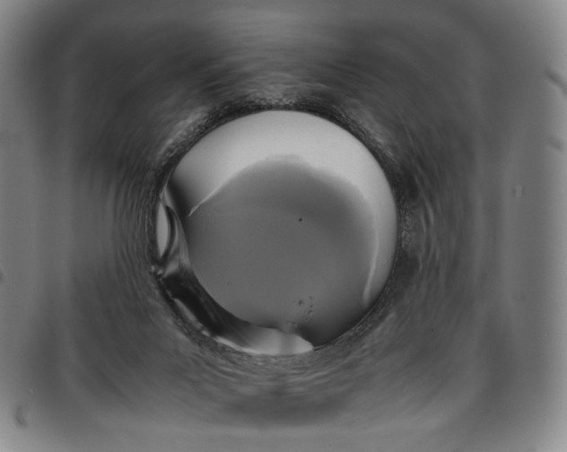 X0000096650023200802191253