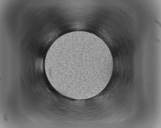 X0000096650024200802191253